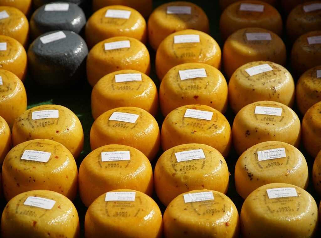 aging gouda cheese