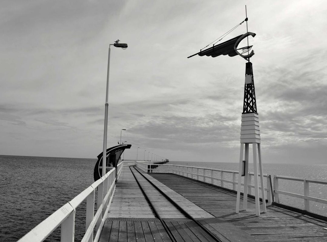 Finding Your Style: Popular Artistic Designs for Wolf Arm Tattoos