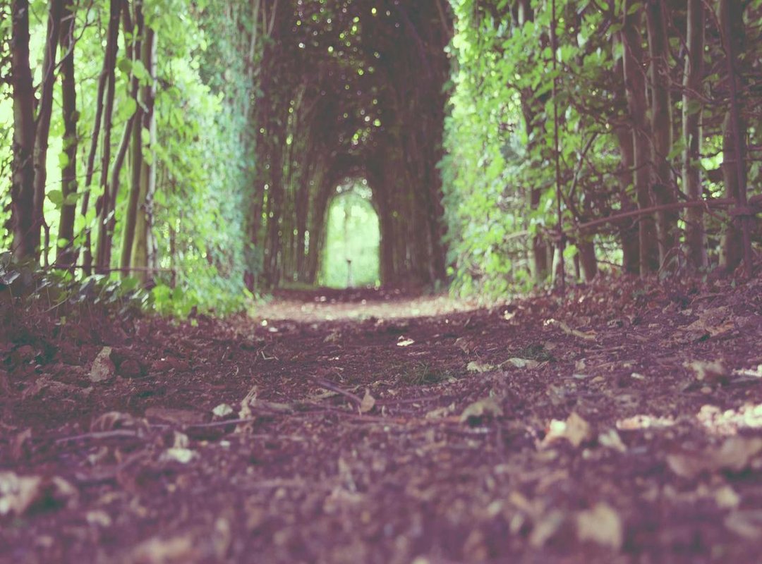 How to Instantly Spot a Scam Site (3 Red Flags)