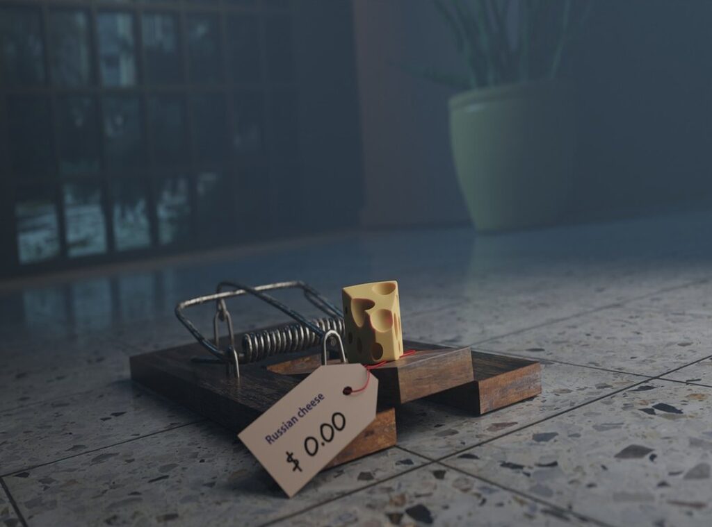 cheese making tools