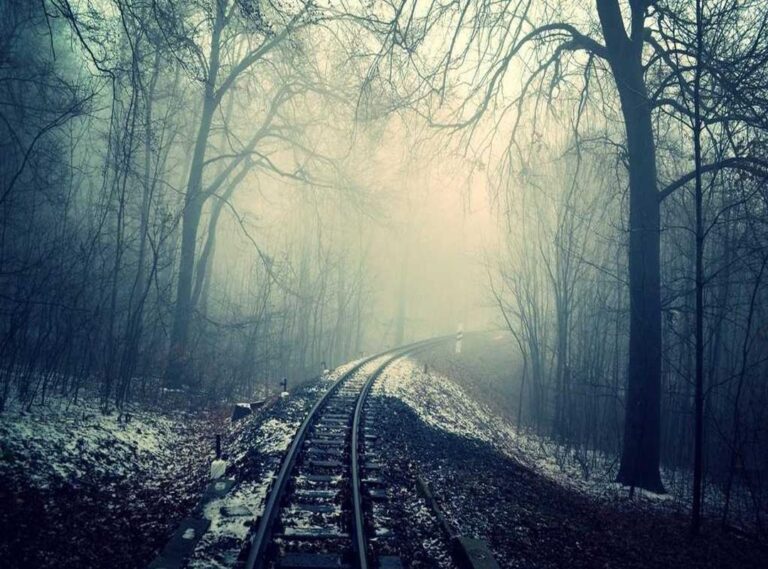 chichis de wendy guevara