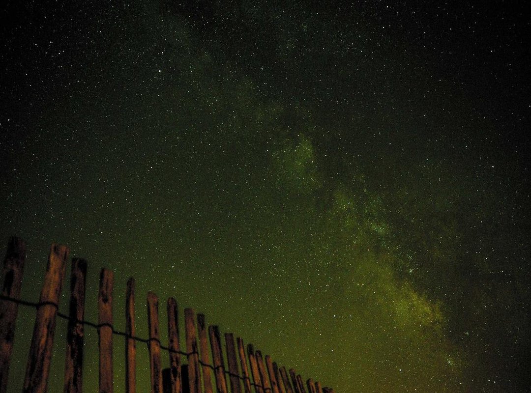 How to Get Rare Avatars the Safe and Legit Way