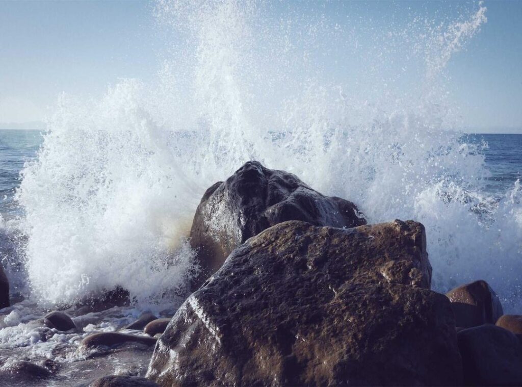 free fire old avatar download