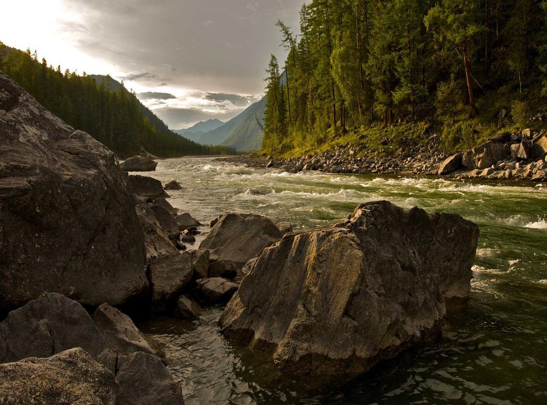 Where to Find All Official Lilyxoxoles Accounts