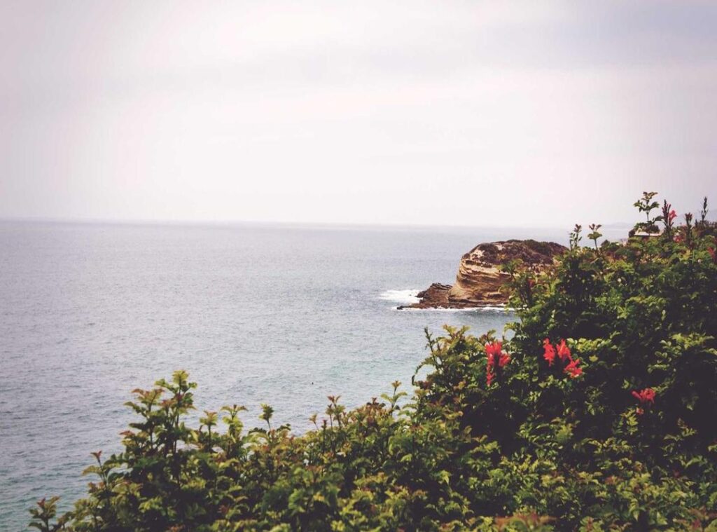 moda dibujos aesthetic para colorear