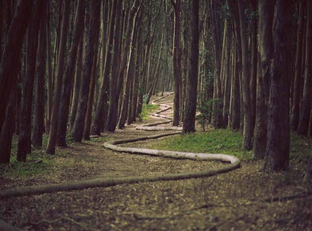 my favorite princess disney dress fanpop pictures