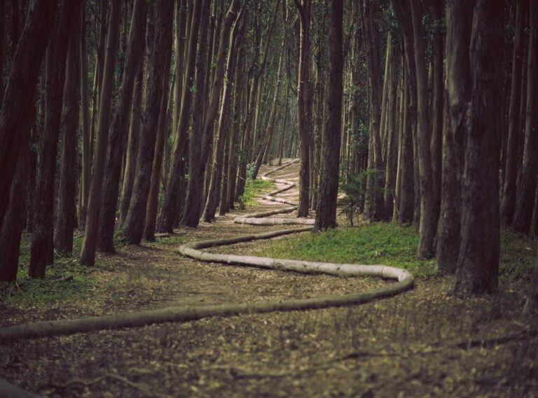 my favorite princess disney dress fanpop pictures