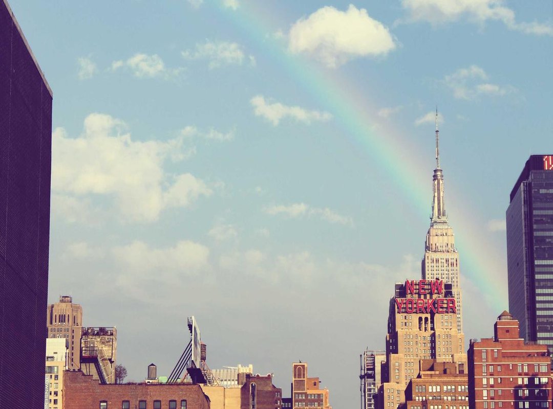 The Aftermath: Public Reaction and Legal Ramifications