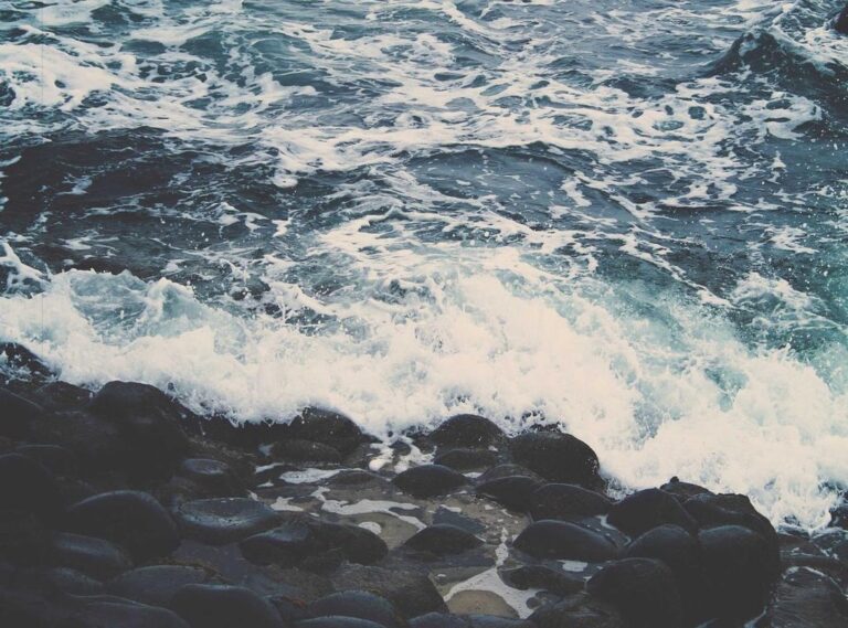 nicol kremers leaked