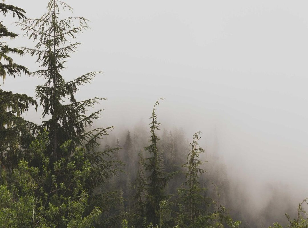 Staying Safe: What to Know Before You Click Play