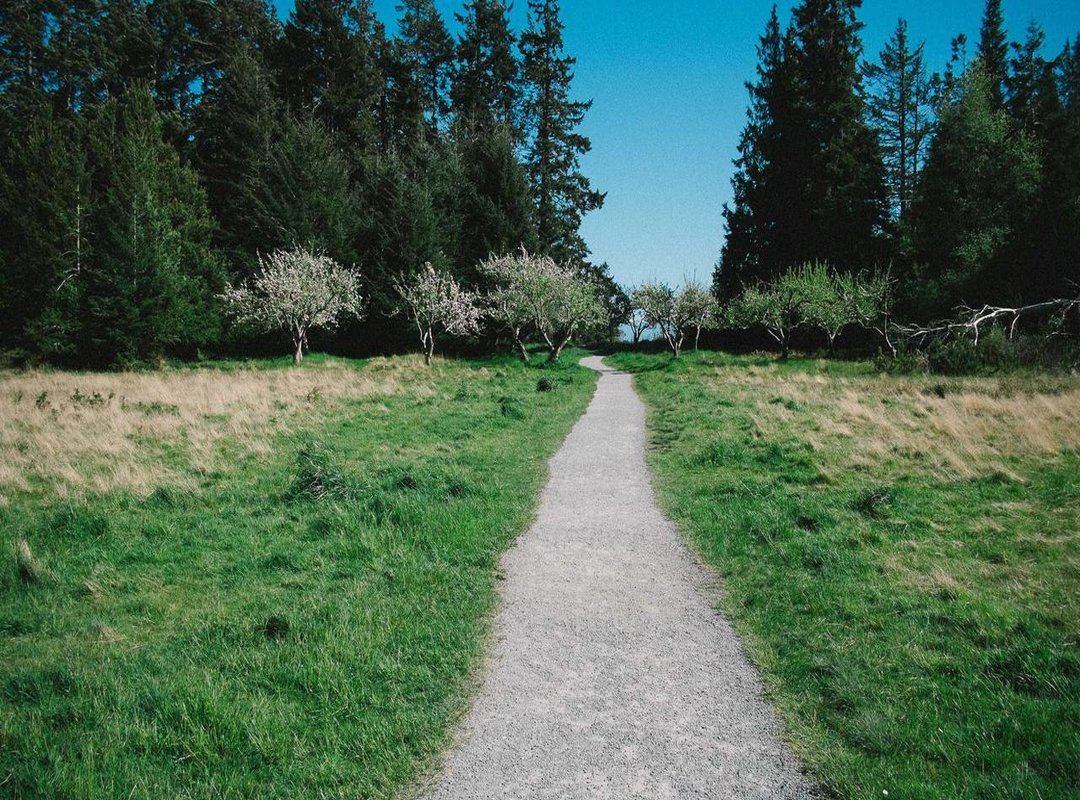 Simbol Tangan yang Dilarang dalam Islam