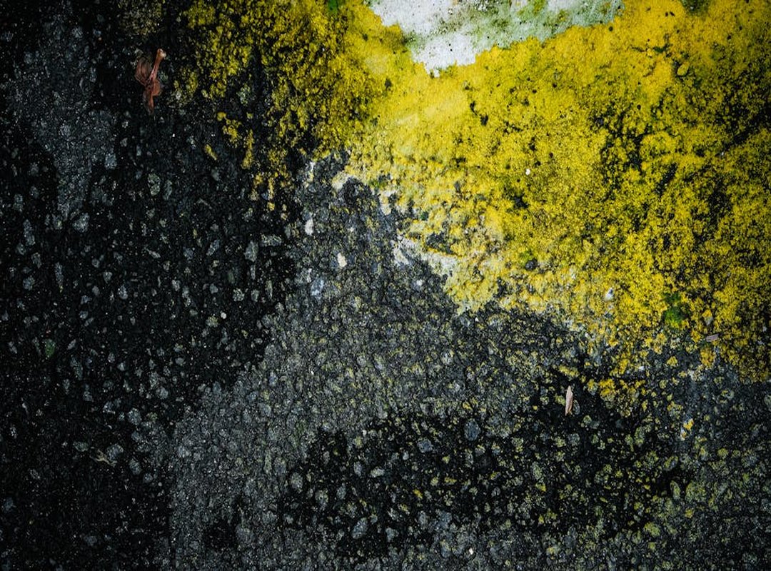 Tondafuto Texture