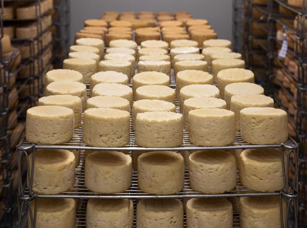 traditional gouda crafting