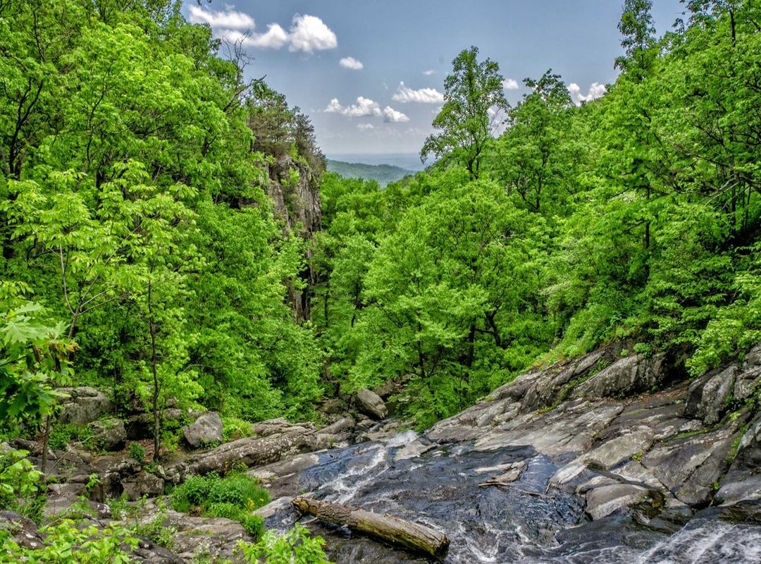 How to Turn On Indonesian Subtitles: A Step-by-Step Guide