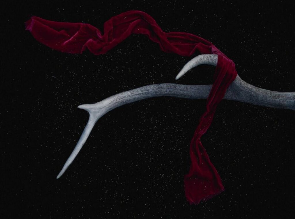 watashi no shiawase na kekkon live action sub indo