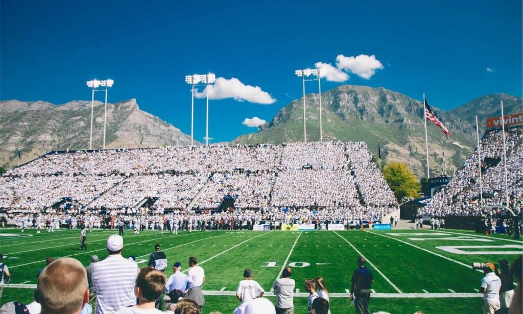 zavagouda ingredients