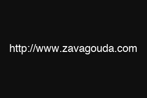 http://www.zavagouda.com