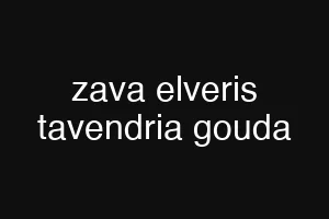 zava elveris tavendria gouda
